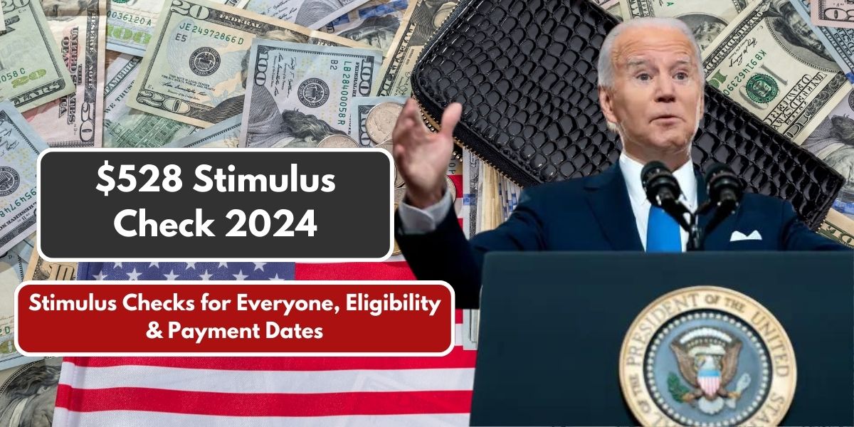 $528 Stimulus Check 2024